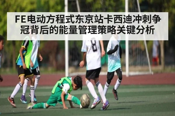 FE电动方程式东京站卡西迪冲刺争冠背后的能量管理策略关键分析