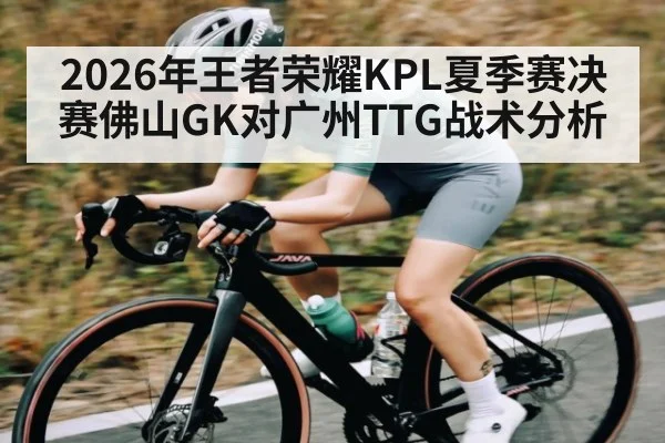 2026年王者荣耀KPL夏季赛决赛佛山GK对广州TTG战术分析